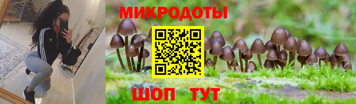 Галлюциногенные грибы Psilocybine cubensis  где купить наркоту  Кропоткин  Вход с VPN 